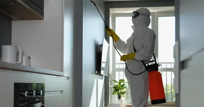 Professional pest control technician performing ant extermination treatment