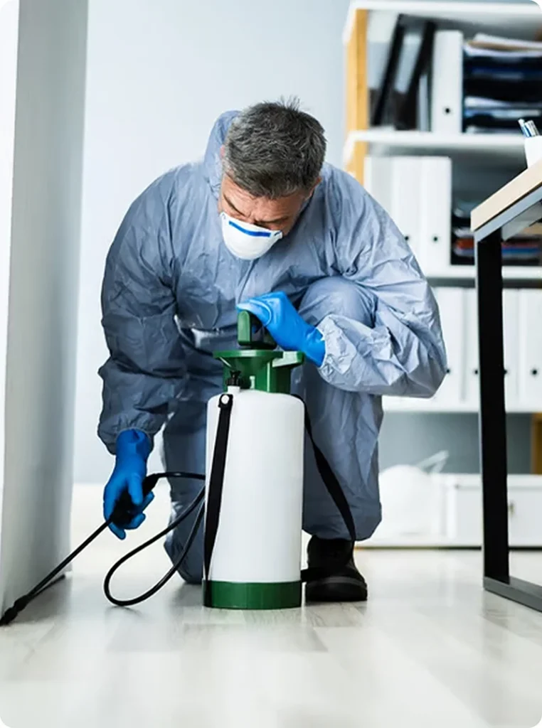 local pest control company in edmonton